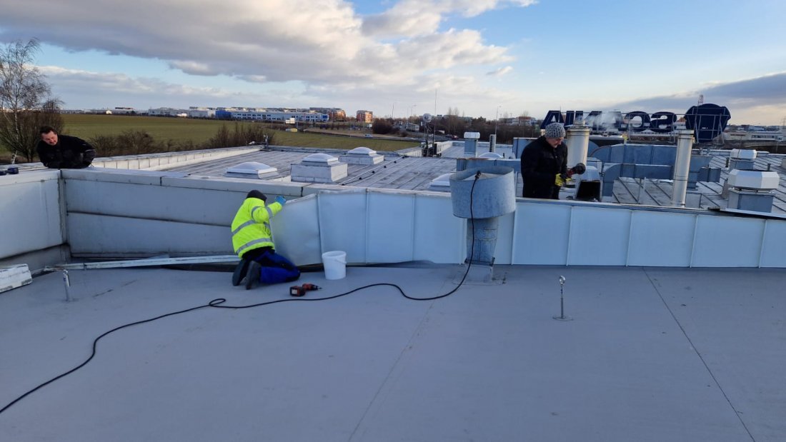 Ideální skandinávská symbióza