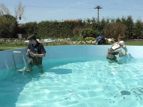 Montáž samolepicích bordur - Žamberk
