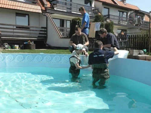 Montáž samolepicích bordur - Žamberk