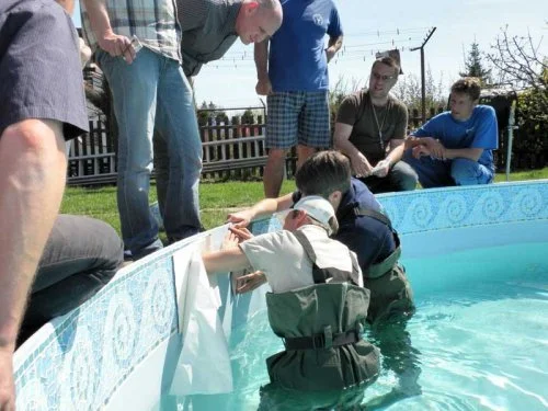 Montáž samolepicích bordur - Žamberk