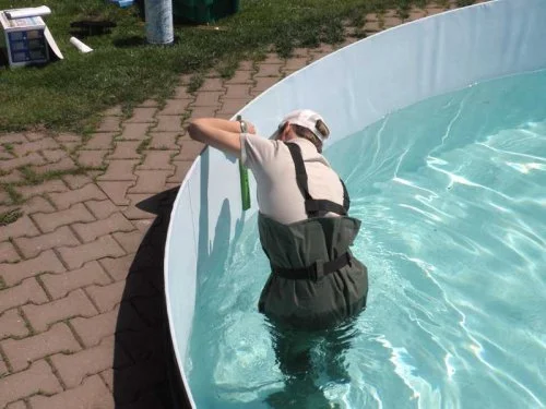 Montáž samolepicích bordur - Žamberk