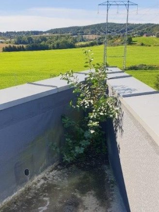 Reference střechy s nežádoucími porosty z důvodu nepravidelných kontrol