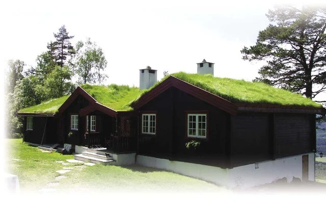 Ozeleněná střecha s hydrolizovanou folií Protan