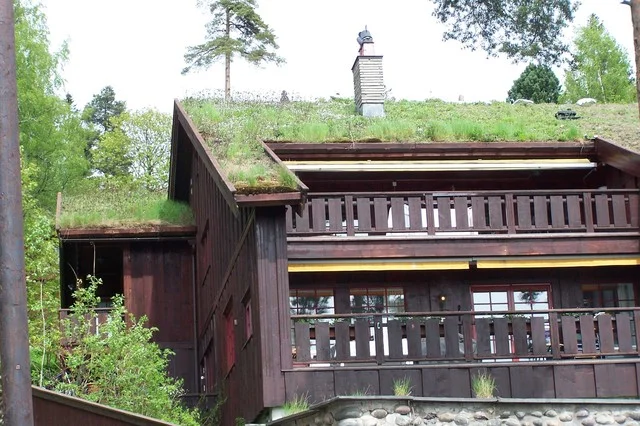 Hydroizolace zelené střechy