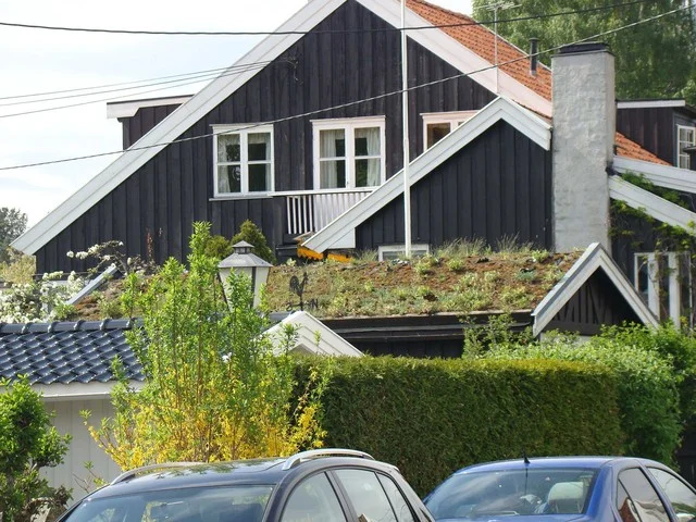 Hydroizolace zelené střechy