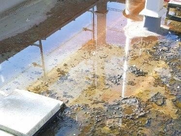 Reference střechy, která neprochází pravidelnou údržbou.